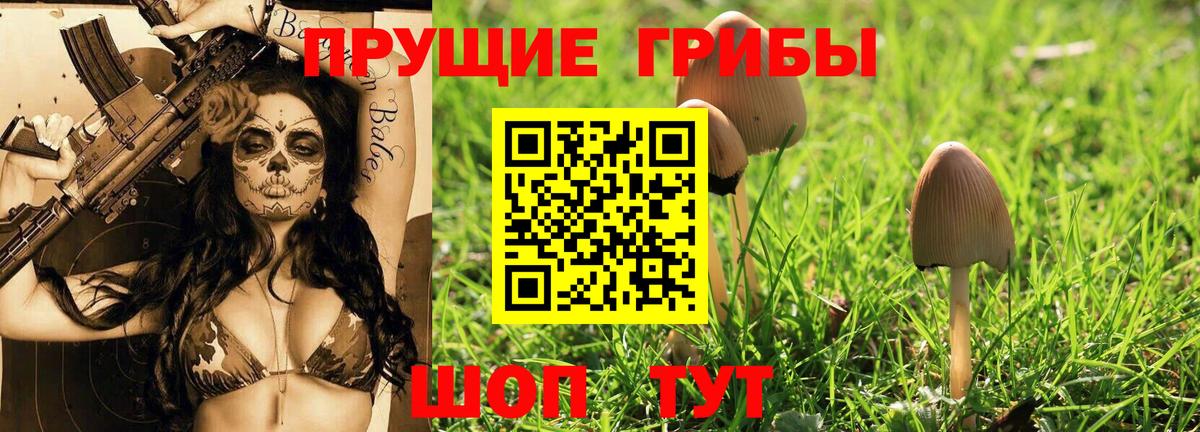 Галлюциногенные грибы мухоморы Урюпинск