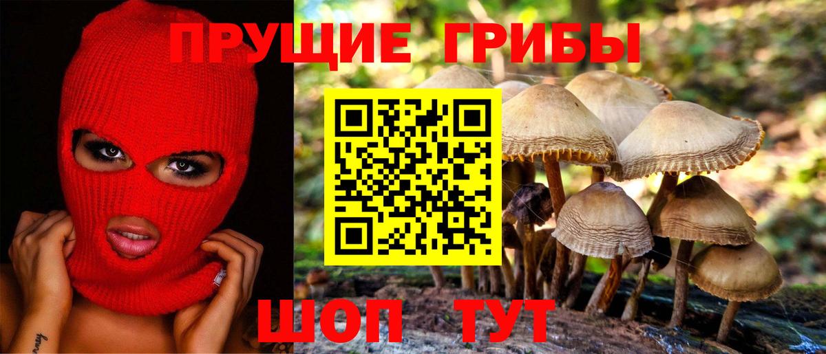 Урюпинск  Галлюциногенные грибы Psilocybe  Галлюциногенные грибы MAGIC MUSHROOMS  Вход с VPN 